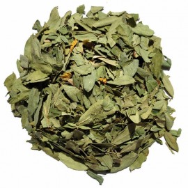 FUEILLES DE SÉNÉ