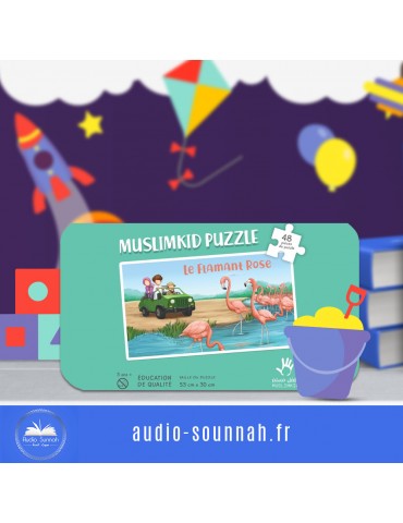 PUZZLE : LE FLAMAND ROSE