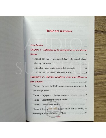 LA SORCELLERIE À TRAVERS LE TEMPS