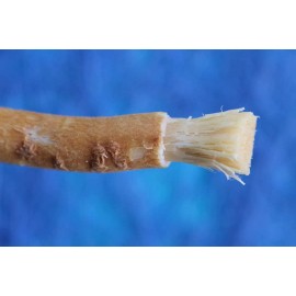 BATON DE SIWAK
